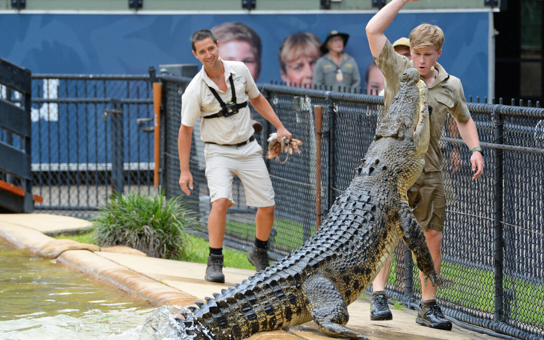 Australia Zoo – Home Of The Crocodile Hunter