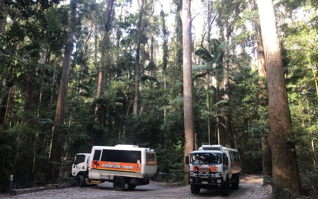 Fraser Island Adventure Tours